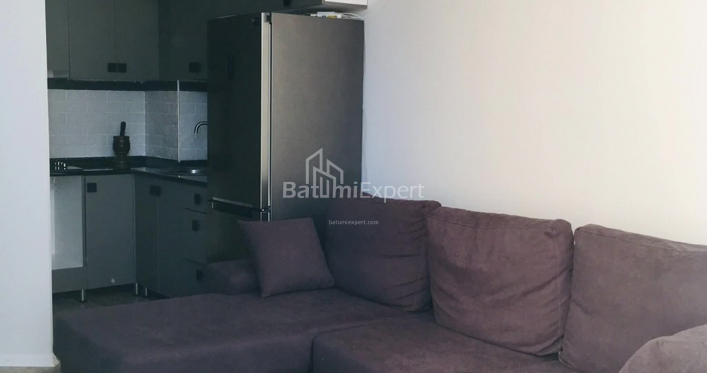 شقة سكنية 48 متر مربع - بالافانديشفيلي, Batumi, جورجيا