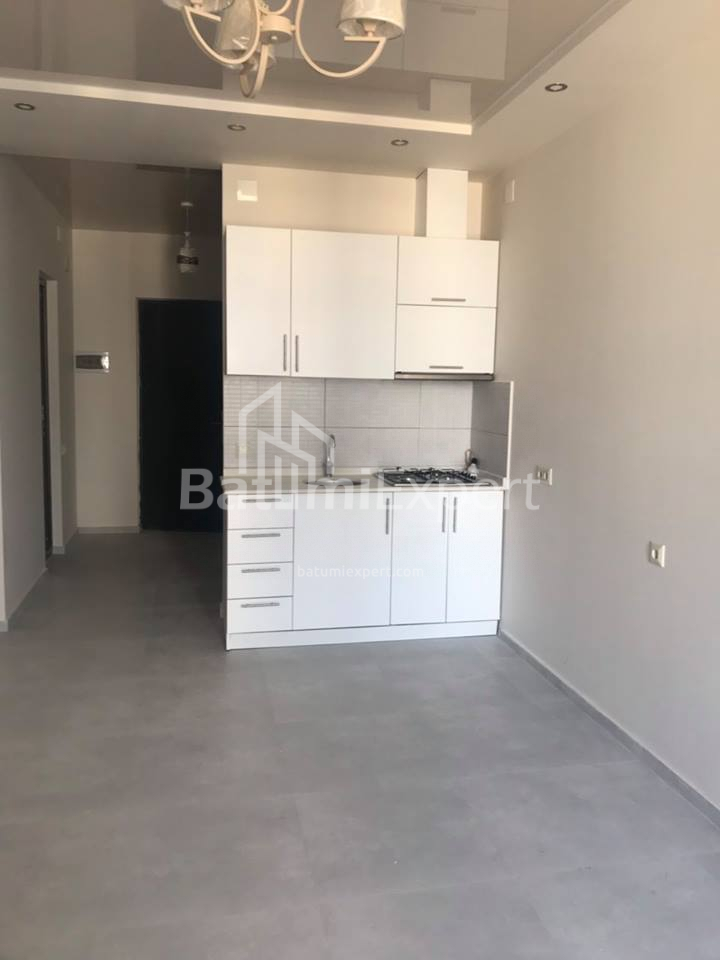 شقة سكنية 53 متر مربع - نيكو بيروسماني, Batumi, جورجيا