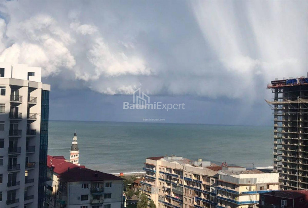 شقة سكنية 53 متر مربع - نيكو بيروسماني, Batumi, جورجيا