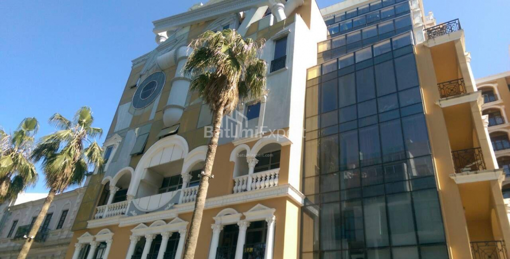 شقة سكنية 30 متر مربع - روستافيلي, Batumi, جورجيا