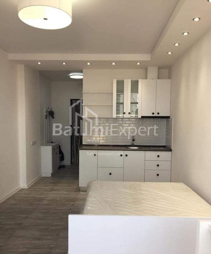 شقة سكنية 32 متر مربع - نيكو بيروسماني, Batumi, جورجيا