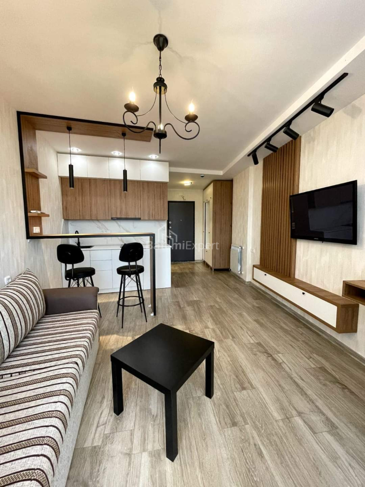 شقة سكنية 36 متر مربع - ليش وماريا كاتشينسكي, Batumi, جورجيا