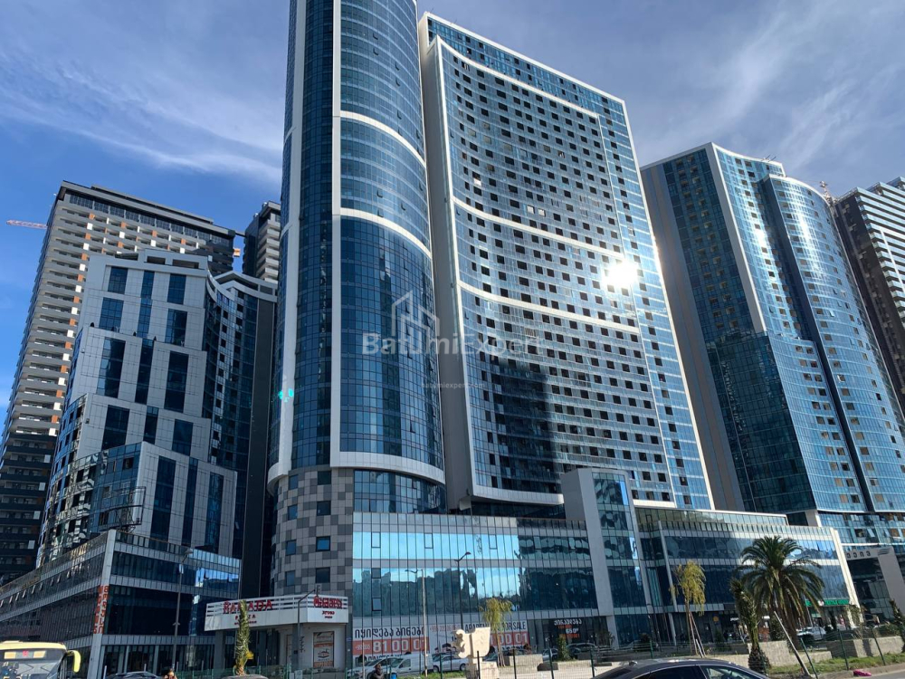 شقة سكنية 48 متر مربع - نيكو بيروسماني, Batumi, جورجيا
