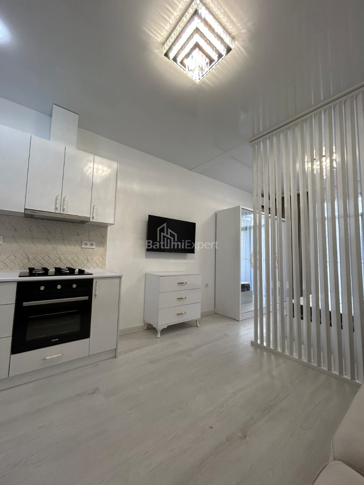 شقة سكنية 34.7 متر مربع - نيكو بيروسماني, Batumi, جورجيا