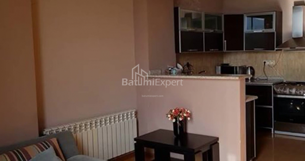 شقة سكنية 100 متر مربع - فاختانغ جورجاسالي, Batumi, جورجيا