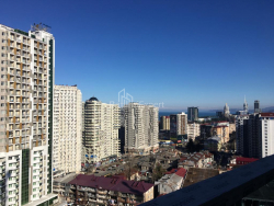 شقة سكنية 48 متر مربع - نيكو بيروسماني, Batumi, جورجيا