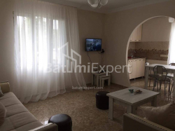 شقة سكنية 44 متر مربع - إيفان جافاخيشفيلي, Batumi, جورجيا