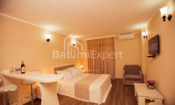 شقة سكنية 31 متر مربع - شريف خيمشياشفيلي, Batumi, جورجيا