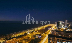 شقة سكنية 33 متر مربع - شريف خيمشياشفيلي, Batumi, جورجيا