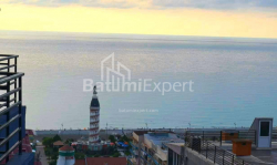 شقة سكنية 1-комн 33 m² - نيكو بيروسماني, Batumi