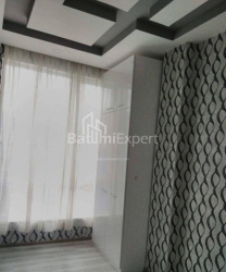 شقة سكنية 60 متر مربع - نيكو بيروسماني, Batumi, جورجيا