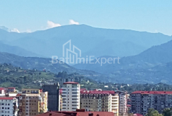 شقة سكنية 35 متر مربع - يوسف كوبالادزه, Batumi, جورجيا