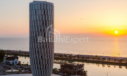 شقة سكنية 30 متر مربع - زورابا جورجيلادزه, Batumi, جورجيا