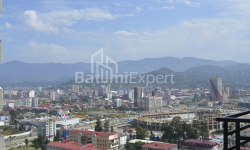 شقة سكنية 31 متر مربع - نيكو بيروسماني, Batumi, جورجيا