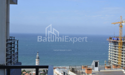 شقة سكنية 1-комн 33 m² - نيكو بيروسماني, Batumi