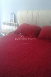 شقة سكنية 2-комн 50 m² - الكسندرا بوشكين, Batumi