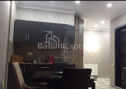 شقة سكنية 47 متر مربع - فاختانغ جورجاسالي, Batumi, جورجيا