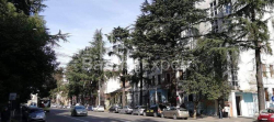 شقة سكنية 3-комн 61 m² - نيكولوز باراتاشفيلي, Batumi