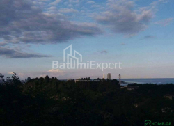 قطعة أرض 300 m² - يوريفسكايا, Batumi