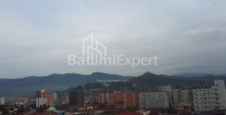 شقة سكنية 1-комн 41 m² - ايليا تشافتشافادزه, Batumi