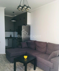 شقة سكنية 2-комн 48 m² - الكسندرا بوشكين, Batumi