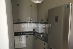 شقة سكنية 2-комн 48 m² - الكسندرا بوشكين, Batumi