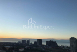 شقة سكنية 1-комн 36 m² - جريجولا إليافا, Batumi
