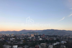 شقة سكنية 1-комн 36 m² - جريجولا إليافا, Batumi