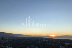 شقة سكنية 1-комн 36 m² - جريجولا إليافا, Batumi