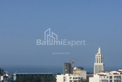 شقة سكنية 2-комн 42 m² - ايليا تشافتشافادزه, Batumi