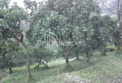 شقة سكنية 240 متر مربع - يوريفسكايا, Batumi, جورجيا