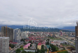 شقة سكنية 45 متر مربع - زورابا جورجيلادزه, Batumi, جورجيا