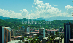 شقة سكنية 3-комн 62 m² - فاختانغ جورجاسالي, Batumi