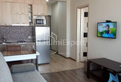 شقة سكنية 40 متر مربع - يوريفسكايا, Batumi, جورجيا