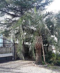 شقة سكنية 52 متر مربع - يوريفسكايا, Batumi, جورجيا