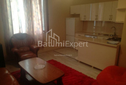 شقة سكنية 2-комн 48 m² - يوريفسكايا, Batumi