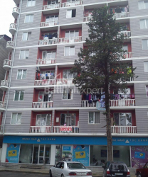 شقة سكنية 47 متر مربع - فاختانغ جورجاسالي, Batumi, جورجيا