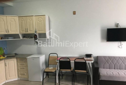 شقة سكنية 1-комн 38 m² - يوريفسكايا, Batumi