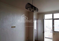 شقة سكنية 1-комн 46 m² - ايليا تشافتشافادزه, Batumi