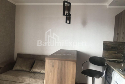 شقة سكنية 42 متر مربع - نيكو بيروسماني, Batumi, جورجيا