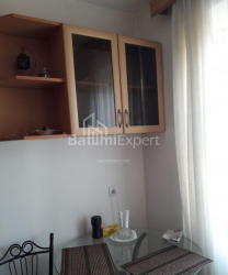 شقة سكنية 49 متر مربع - الكسندرا بوشكين, Batumi, جورجيا