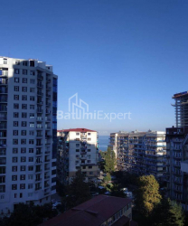شقة سكنية 2-комн 35 m² - نيكو بيروسماني, Batumi