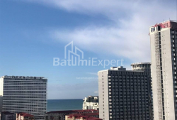 شقة سكنية 3-комн 53 m² - نيكو بيروسماني, Batumi