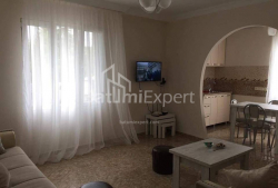 شقة سكنية 44 متر مربع - إيفان جافاخيشفيلي, Batumi, جورجيا