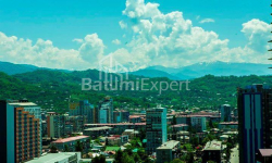 شقة سكنية 62 متر مربع - فاختانغ جورجاسالي, Batumi, جورجيا