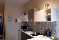 شقة سكنية 34 متر مربع - يوريفسكايا, Batumi, جورجيا