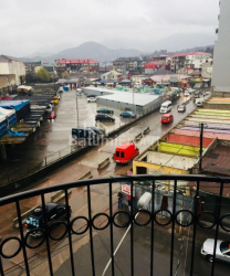 شقة سكنية 46 متر مربع - الكسندرا بوشكين, Batumi, جورجيا
