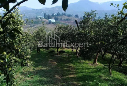 شقة سكنية 8-комн 300 m² - يوريفسكايا, Batumi