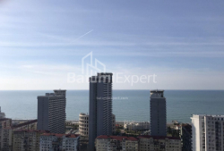 شقة سكنية 42 متر مربع - نيكو بيروسماني, Batumi, جورجيا