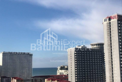شقة سكنية 53 متر مربع - نيكو بيروسماني, Batumi, جورجيا